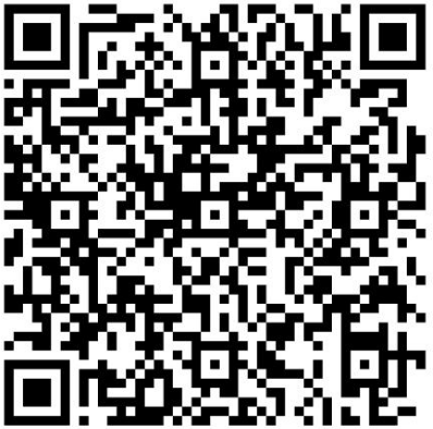 QR Code Pix
